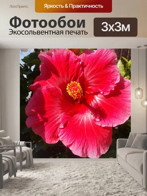 Фотообои Цветы