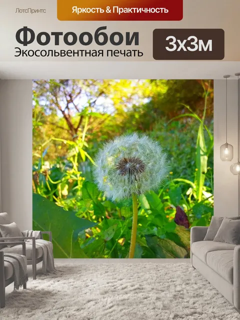 Фотообои Одуванчик