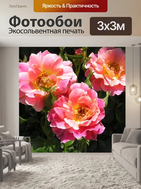 Фотообои Розы