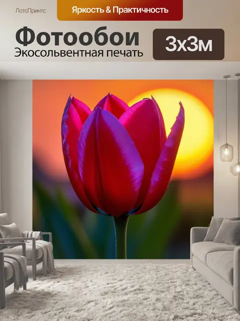 Фотообои тюльпан на фоне заката