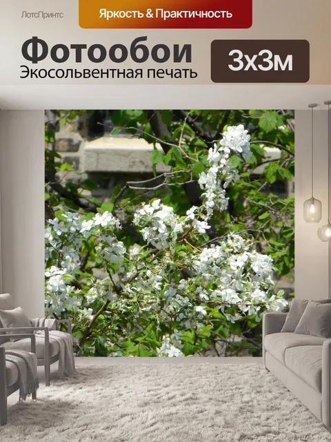 Фотообои Цветы