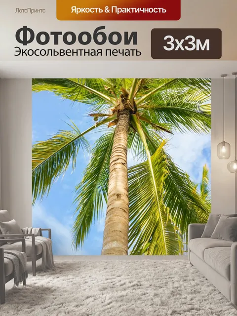 Фотообои Тропические пальмы