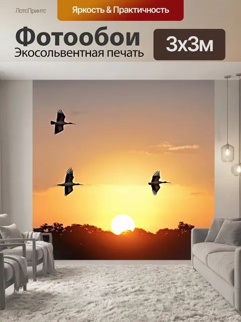 Фотообои журавли, парящие над закатом