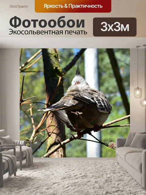 Фотообои Птица