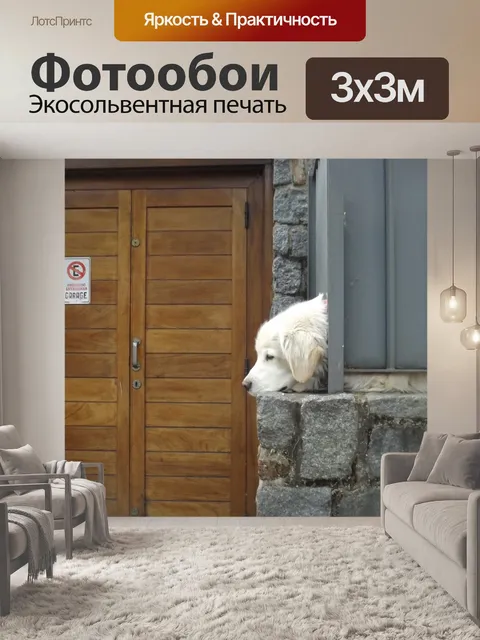 Фотообои Животные