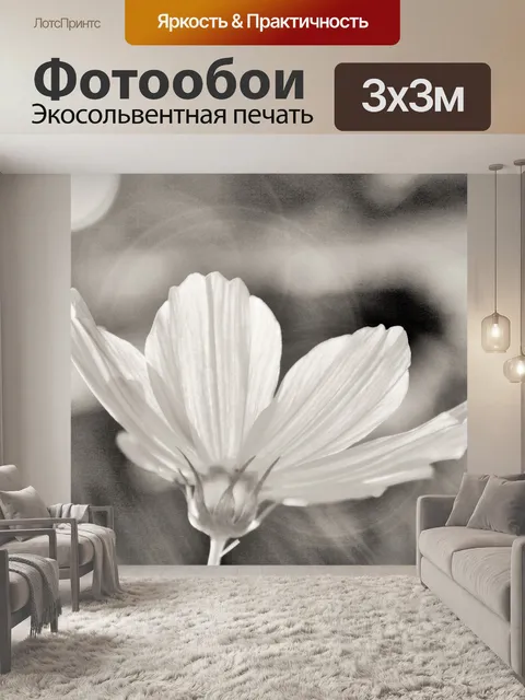 Фотообои черно-белые космос