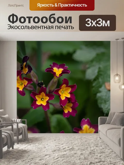 Фотообои Расцветает