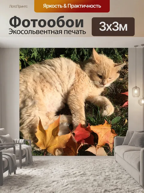 Фотообои Орнамент