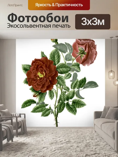 Фотообои Цветы