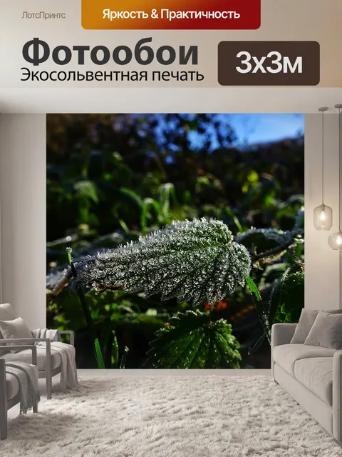 Фотообои Крапива