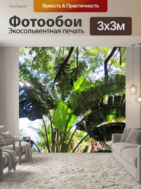 Фотообои пальмовых листьев летом