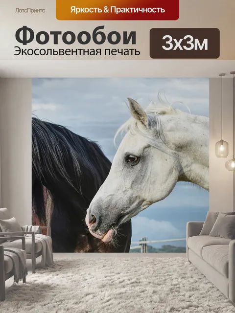 Фотообои Лошади