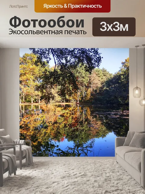Фотообои Заказ леса