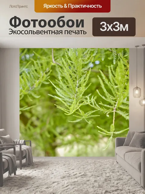 Фотообои зелень