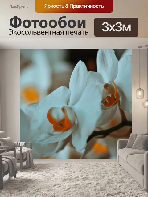 Фотообои Орхидея