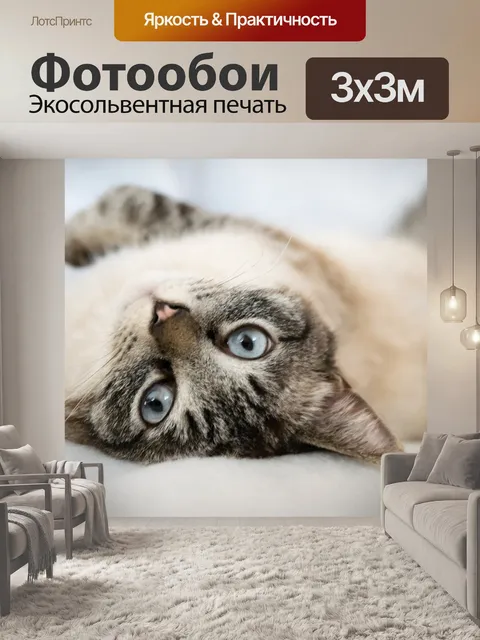 Фотообои Животное