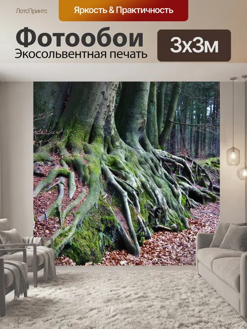 Фотообои Дерево