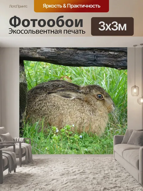 Фотообои Газон