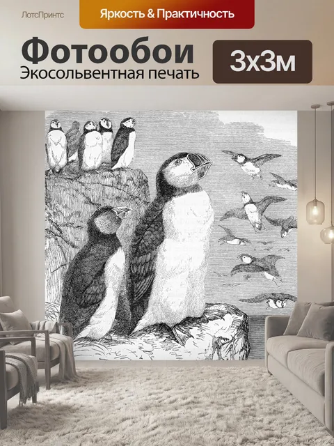 Фотообои Тупики