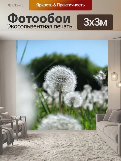 Фотообои Одуванчик