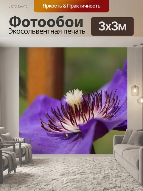 Фотообои Сад