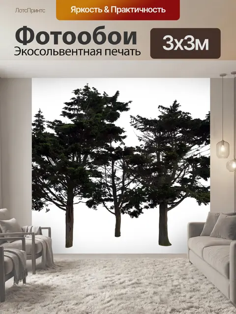 Фотообои Деревья