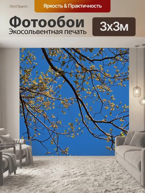 Фотообои новые листья и цветы на фоне неба