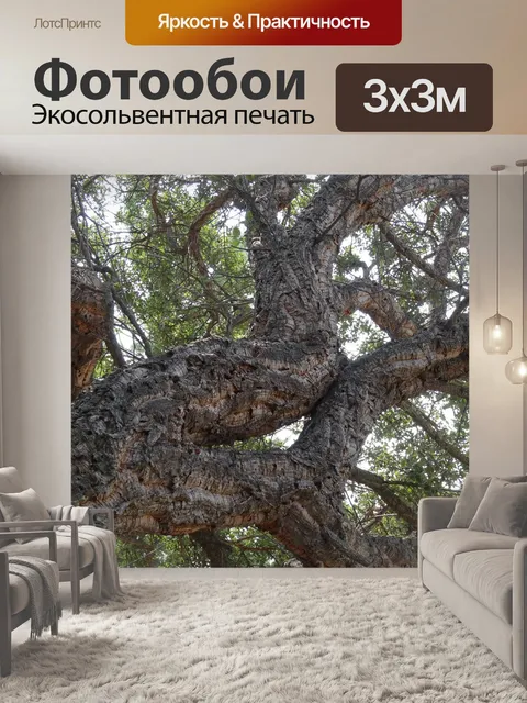 Фотообои Корсика