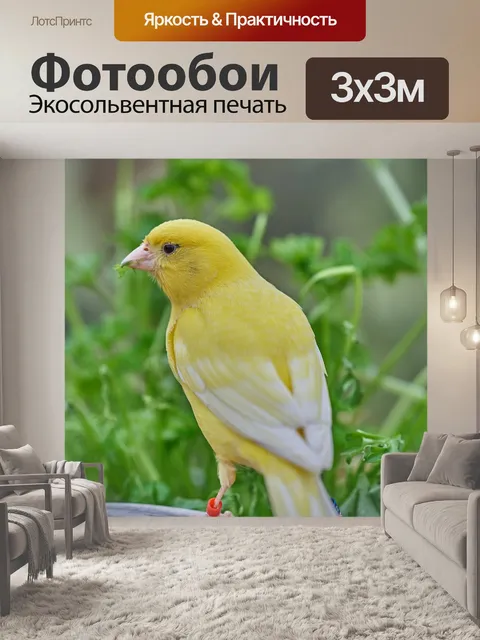 Фотообои Птица