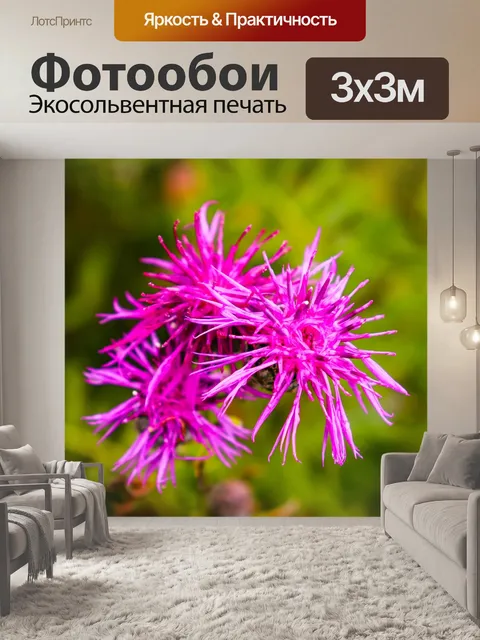 Фотообои Цветы