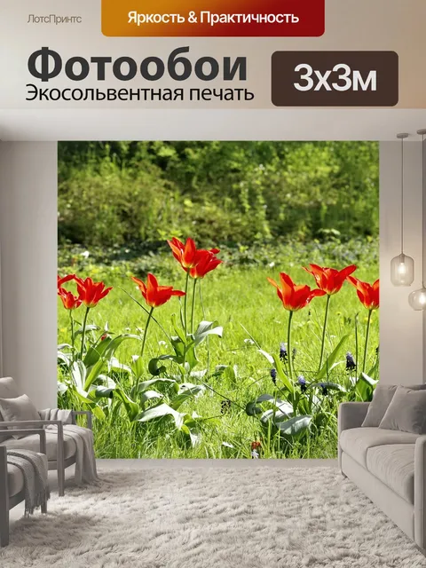Фотообои Тюльпаны
