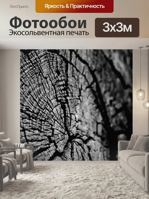Фотообои Черно-белое