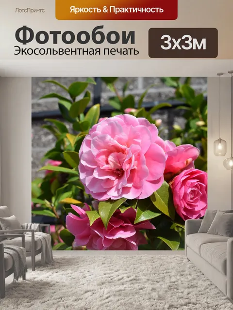 Фотообои Розы