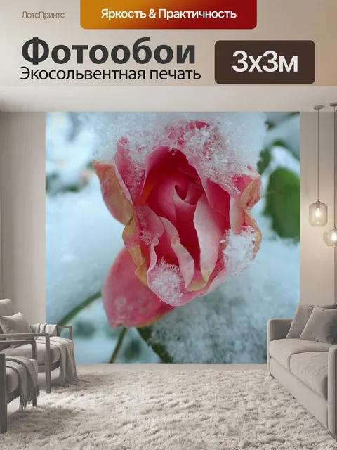 Фотообои Роза