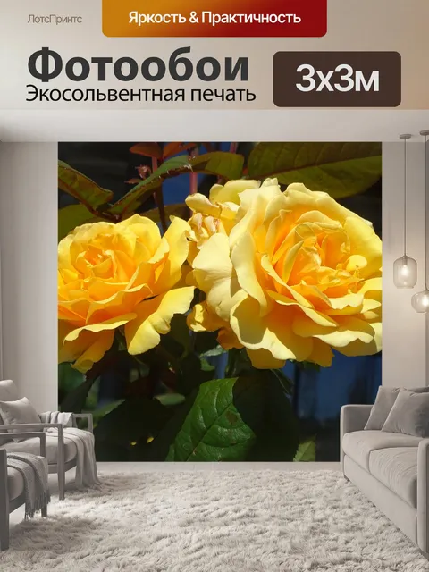 Фотообои Розы