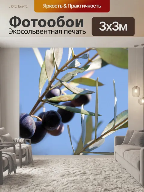 Фотообои Черные оливки