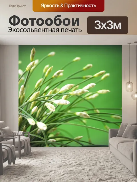 Фотообои Цветок