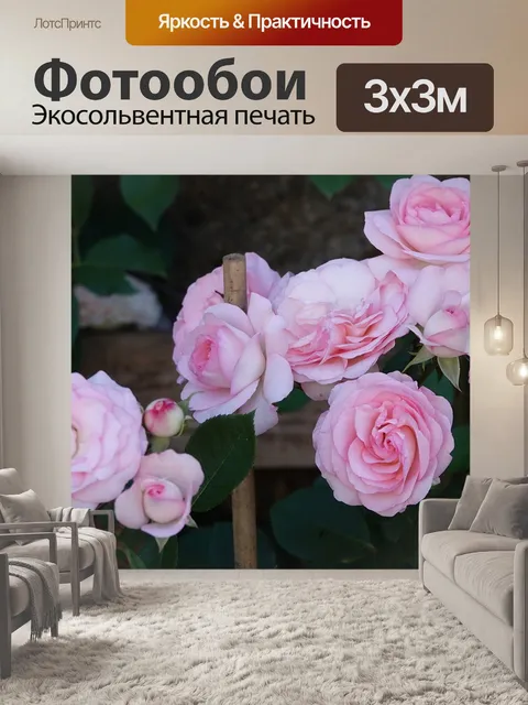 Фотообои Розы