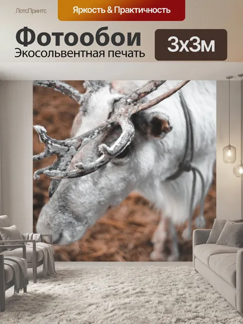 Фотообои Олень