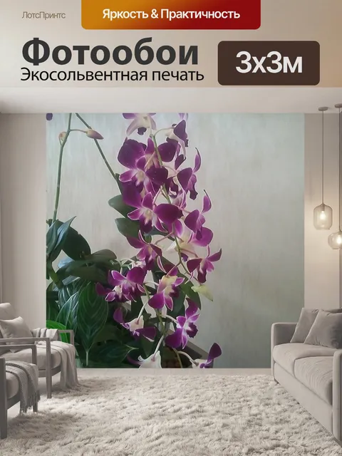 Фотообои цветок орхидеи