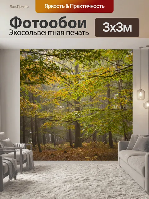 Фотообои Туманный лес
