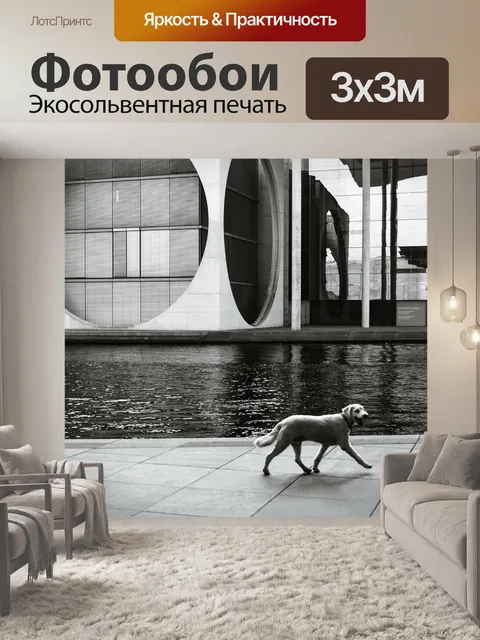 Фотообои Архитектура
