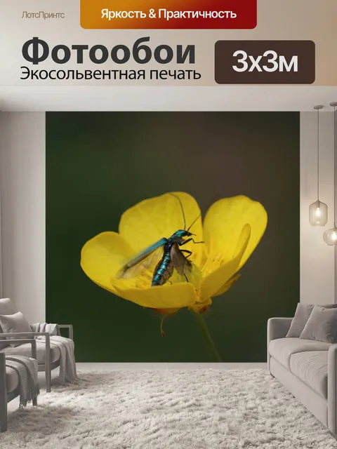 Фотообои Золотая кнопка