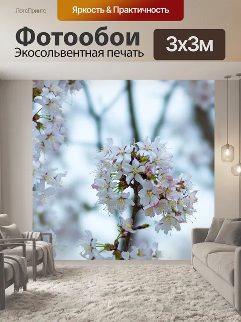 Фотообои Белые цветки