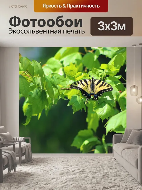 Фотообои Бабочка