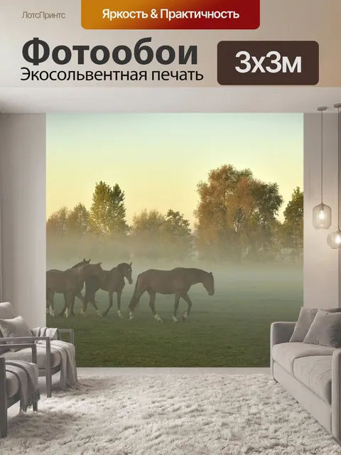Фотообои Утренний туман