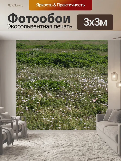 Фотообои Поле цветов