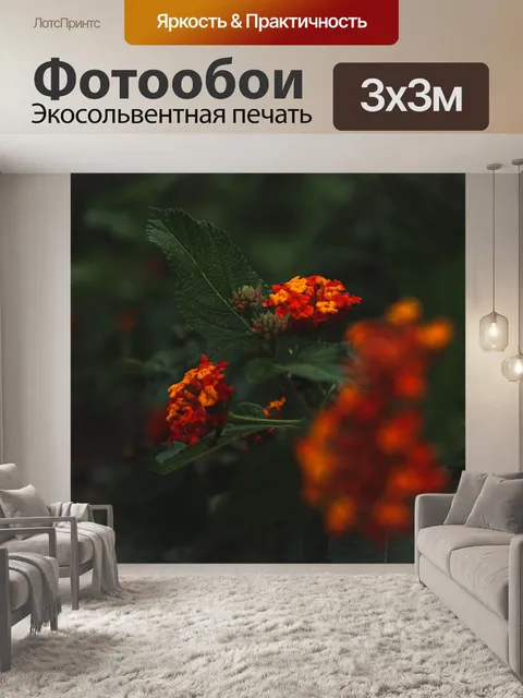 Фотообои Цветы