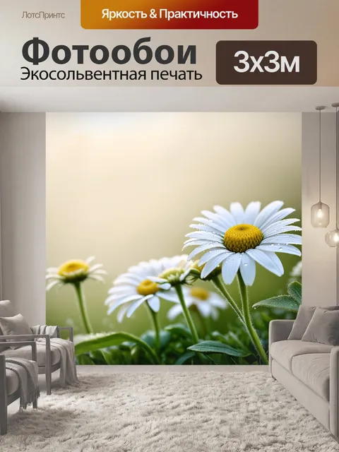 Фотообои ромашки в утреннем свете, нежно раскрывшиеся на фоне легкого тумана