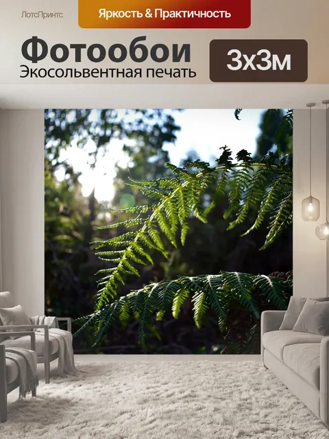 Фотообои Папоротник